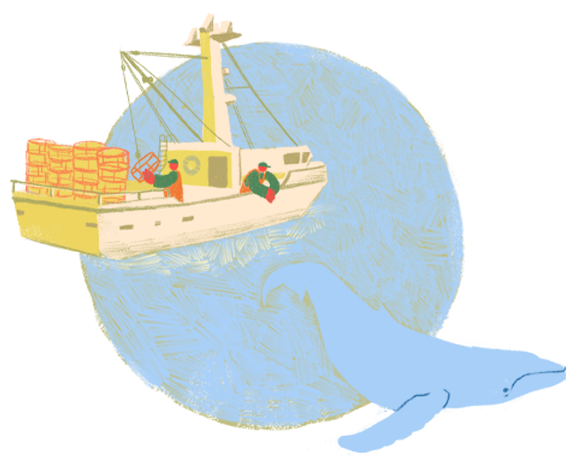 An illustration showing crab fishermen of the Bay Area Dungeness Crab Fishery working on their boat above a humpback whale beneath the surface.