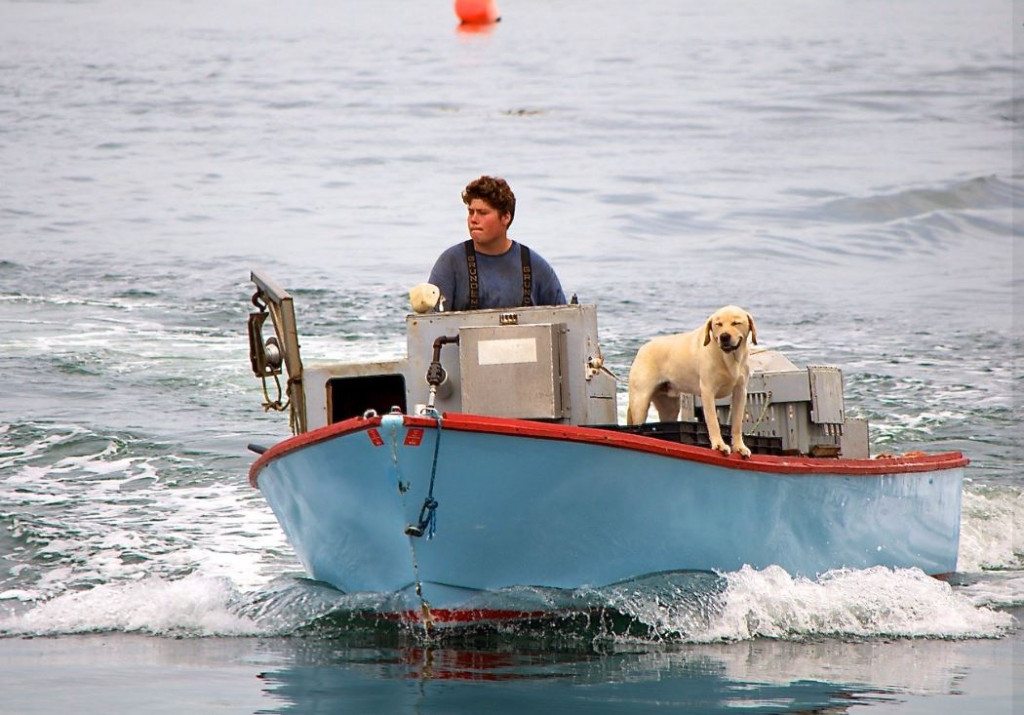 A teenager and his dog stand on a small motor boat in the middle of a vast expanse of water.