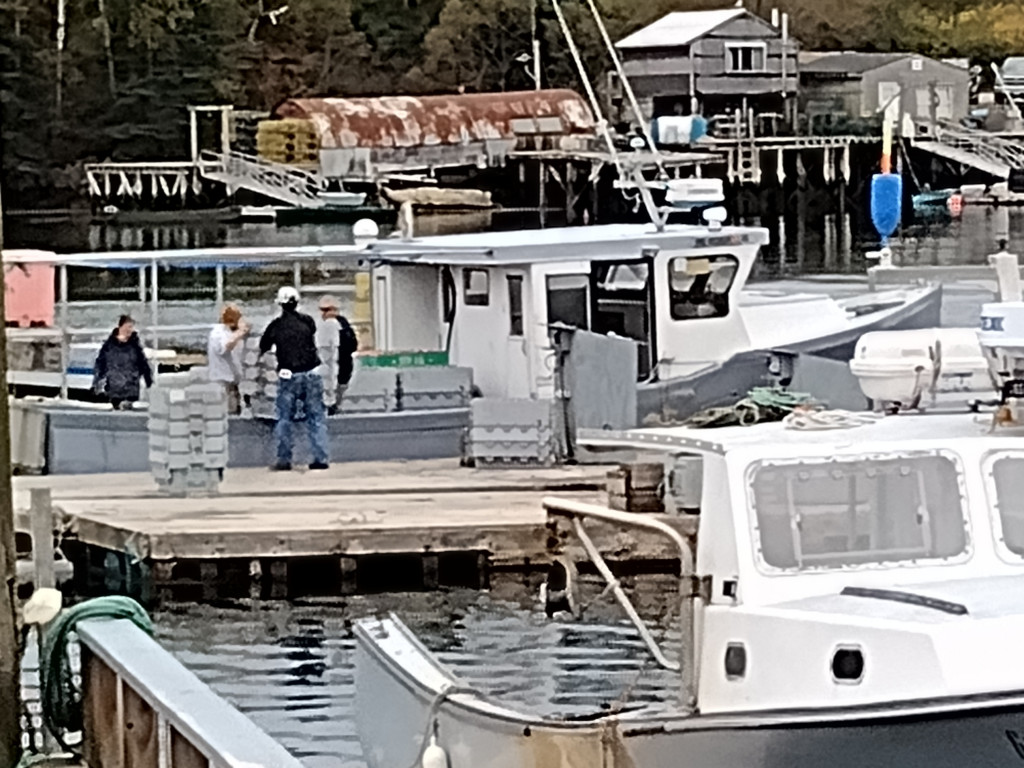 Boats are docked at a busy marina in Maine.