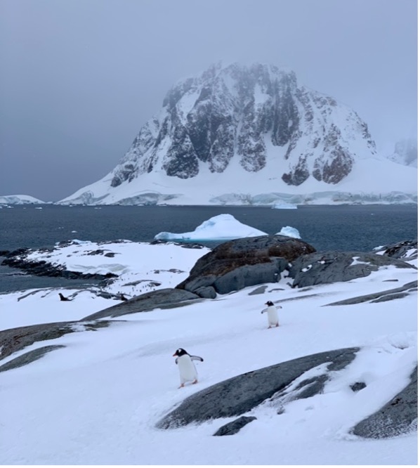 Two black and white penguins waddle on a snowy glacier